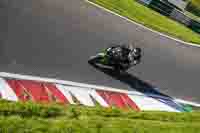 Middle Group Green Bikes